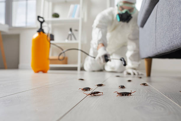 Commercial Kitchen Cockroach Control in Lake Mary